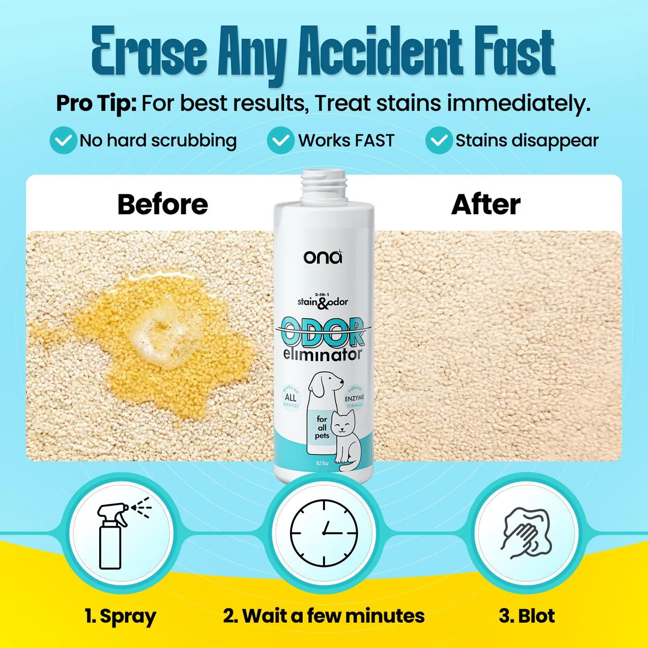 Before and after using Ona enzyme cleaner on carpet pet stain — stain completely removed